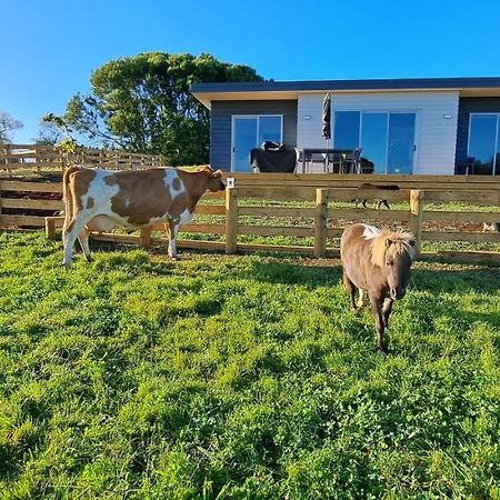 Country Comfort - Only 10 Minutes From Hamilton Cbd Dış mekan fotoğraf