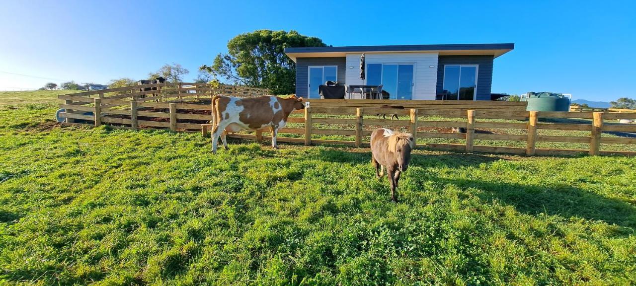 Country Comfort - Only 10 Minutes From Hamilton Cbd Dış mekan fotoğraf
