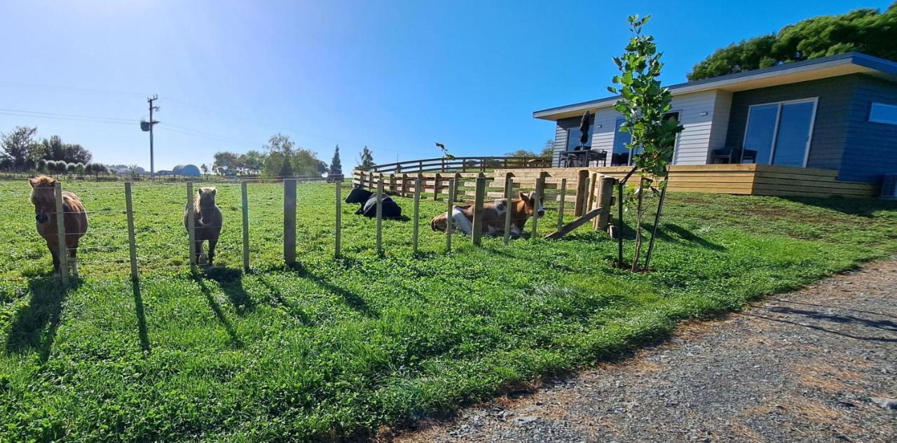 Country Comfort - Only 10 Minutes From Hamilton Cbd Dış mekan fotoğraf