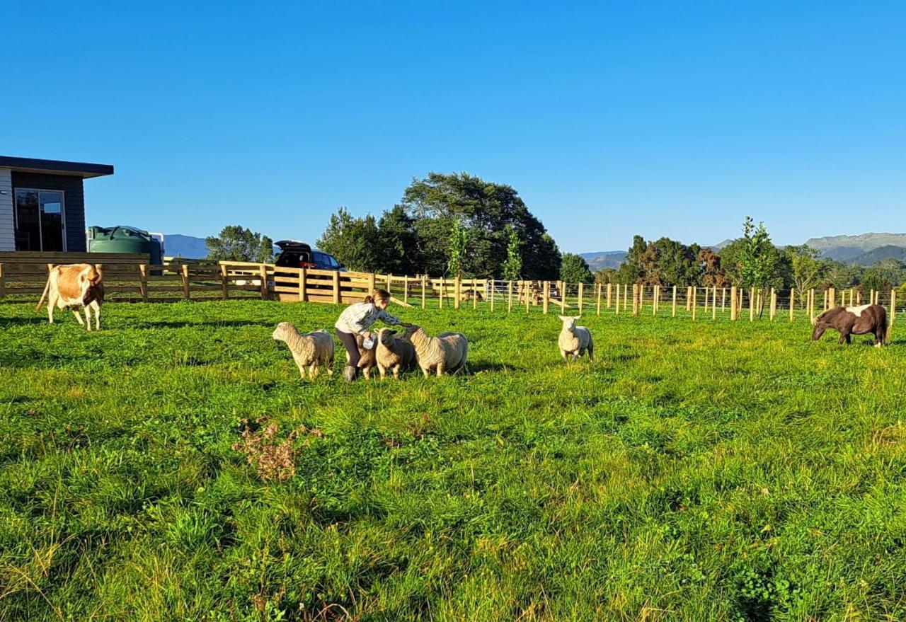 Country Comfort - Only 10 Minutes From Hamilton Cbd Dış mekan fotoğraf