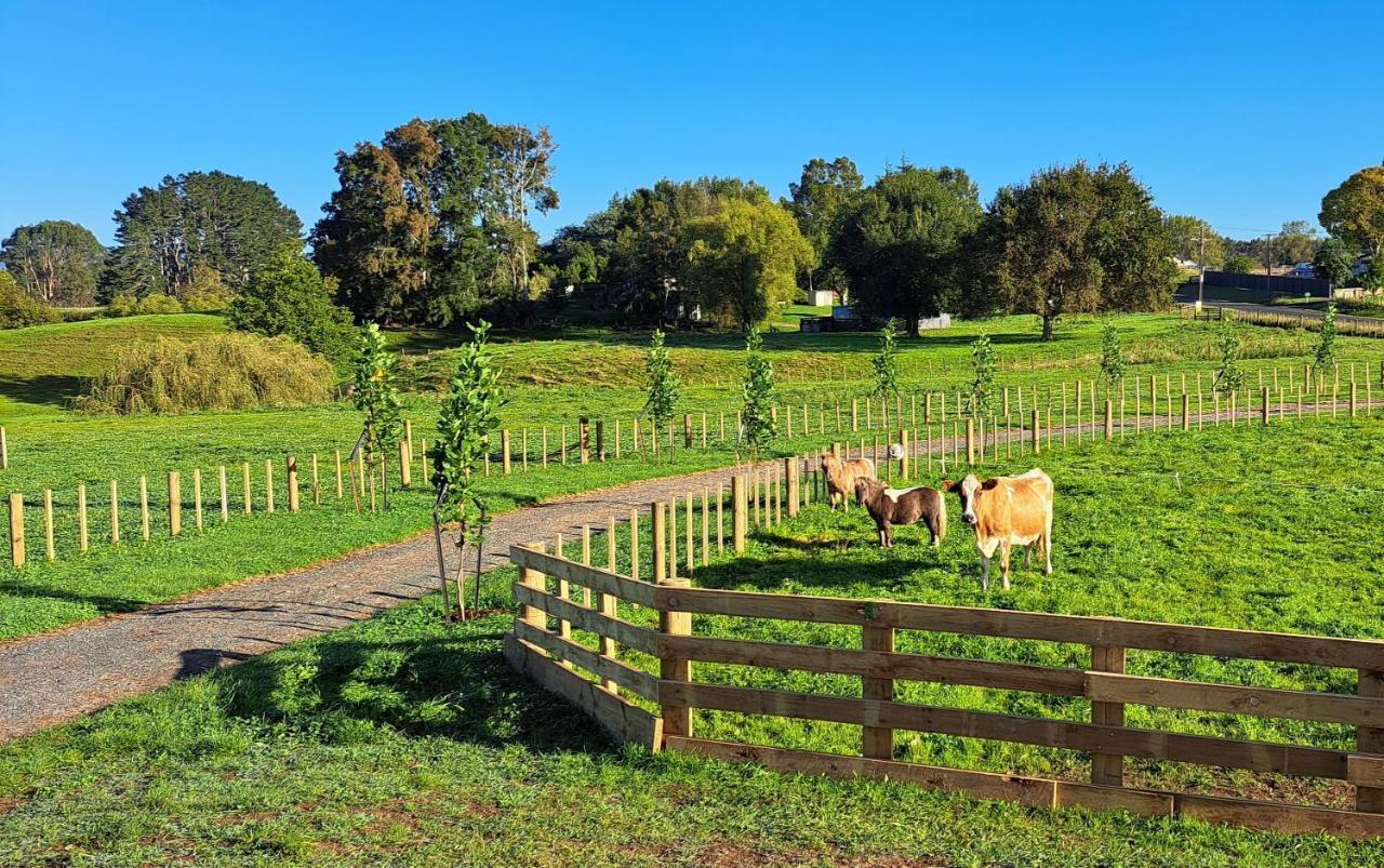 Country Comfort - Only 10 Minutes From Hamilton Cbd Dış mekan fotoğraf