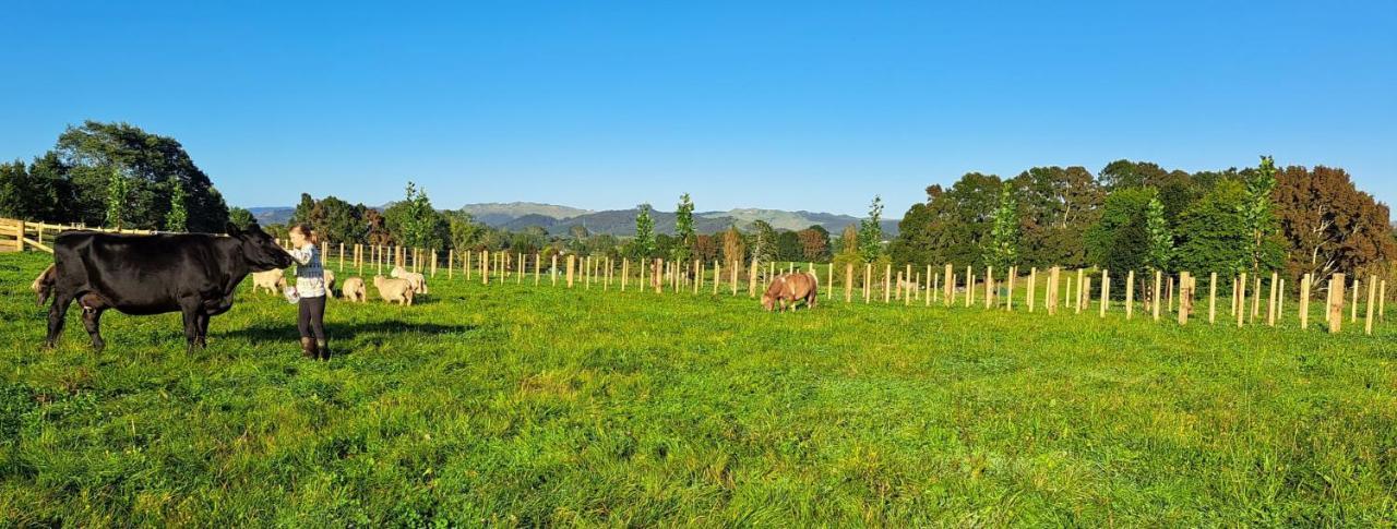 Country Comfort - Only 10 Minutes From Hamilton Cbd Dış mekan fotoğraf