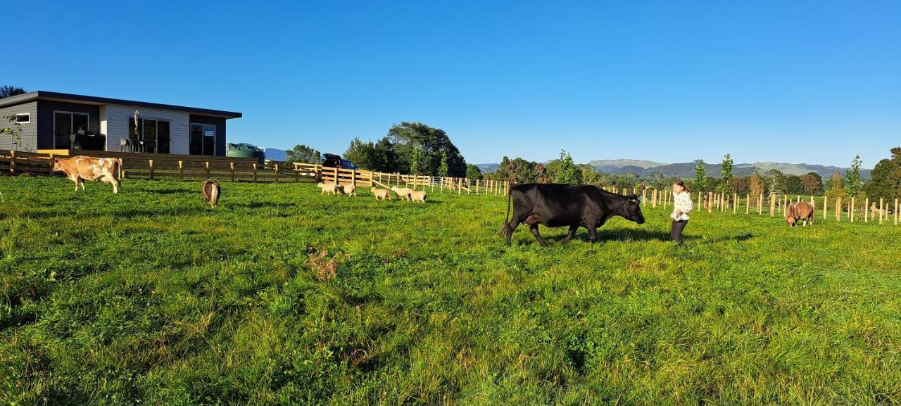 Country Comfort - Only 10 Minutes From Hamilton Cbd Dış mekan fotoğraf